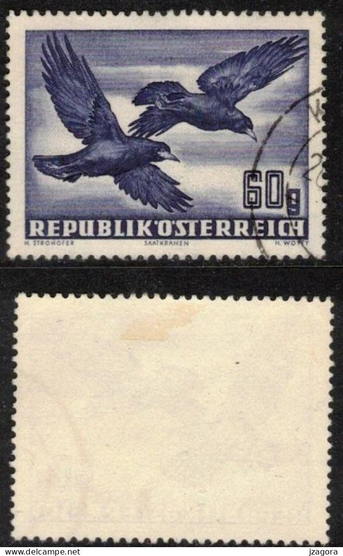 BIRDS ROOKS VÖGEL OISEAUX TOURS AUSTRIA ÖSTERREICH AUTRICHE 1950 MI 955 ANK 967 YT A54 SC C54 Air Mail Flugpost - Usati