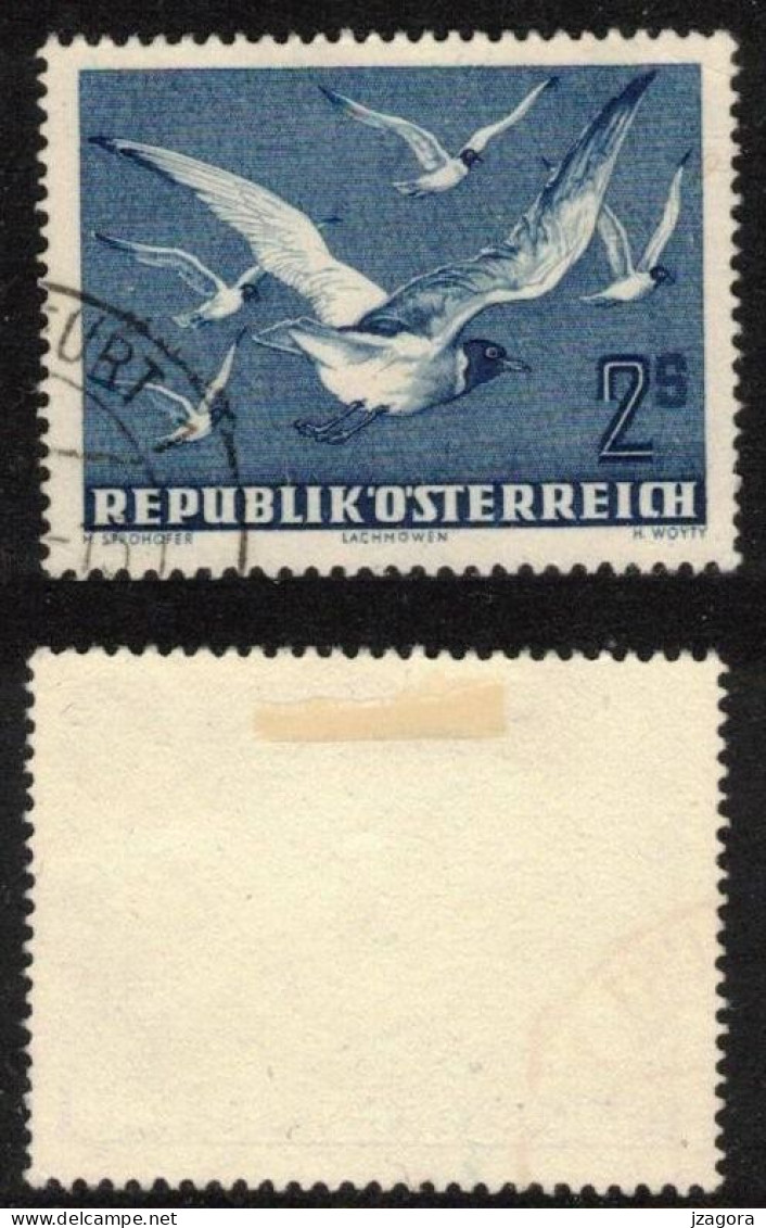 BIRDS GULLS VÖGEL Möwen OISEAUX MOUETTES AUSTRIA ÖSTERREICH AUTRICHE 1950 MI 956 AN 969 YT PA56 SC C56 Air Mail Flugpost - Gebraucht