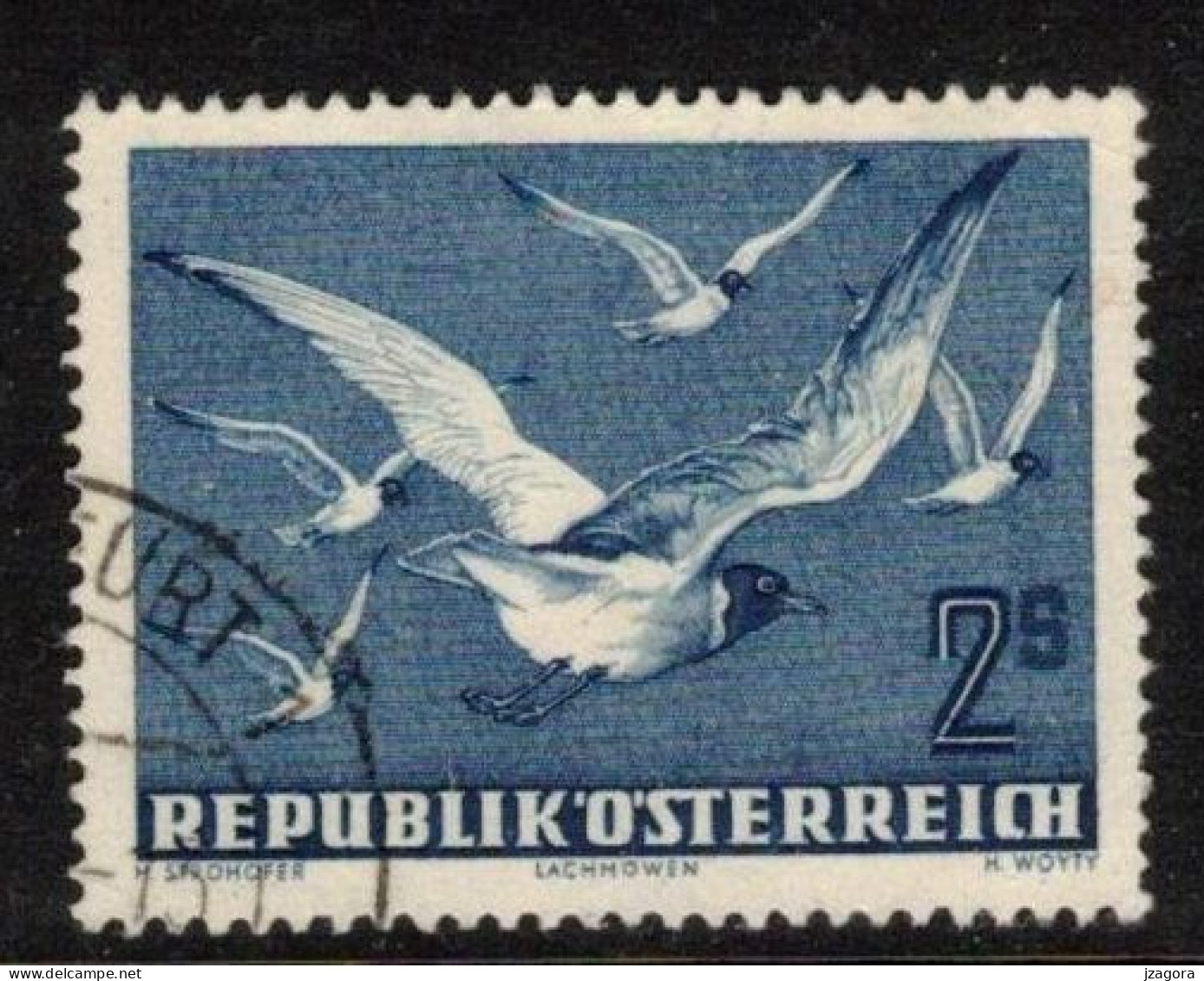 BIRDS GULLS VÖGEL Möwen OISEAUX MOUETTES AUSTRIA ÖSTERREICH AUTRICHE 1950 MI 956 AN 969 YT PA56 SC C56 Air Mail Flugpost - Usati