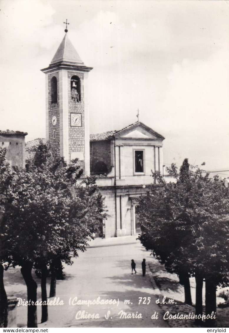 Pietracatella Campobasso Chiesa Santa Maria Di Costantinopoli - Andere & Zonder Classificatie