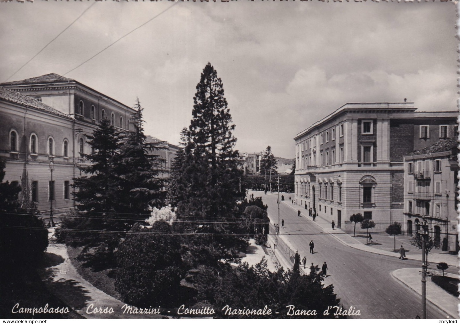 Campobasso Corso Mazzini Convitto Nazionale Banca D'Italia - Autres & Non Classés