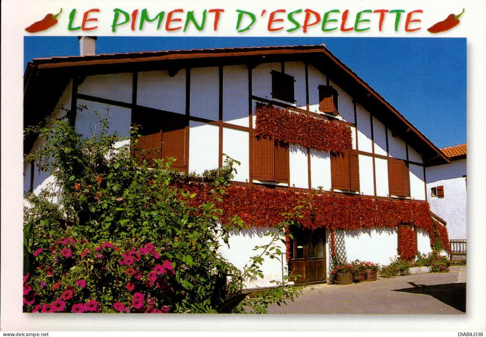 LE PIMENT D ' ESPELETTE    ( PYRENEES ATLANTIQUES ) - Espelette
