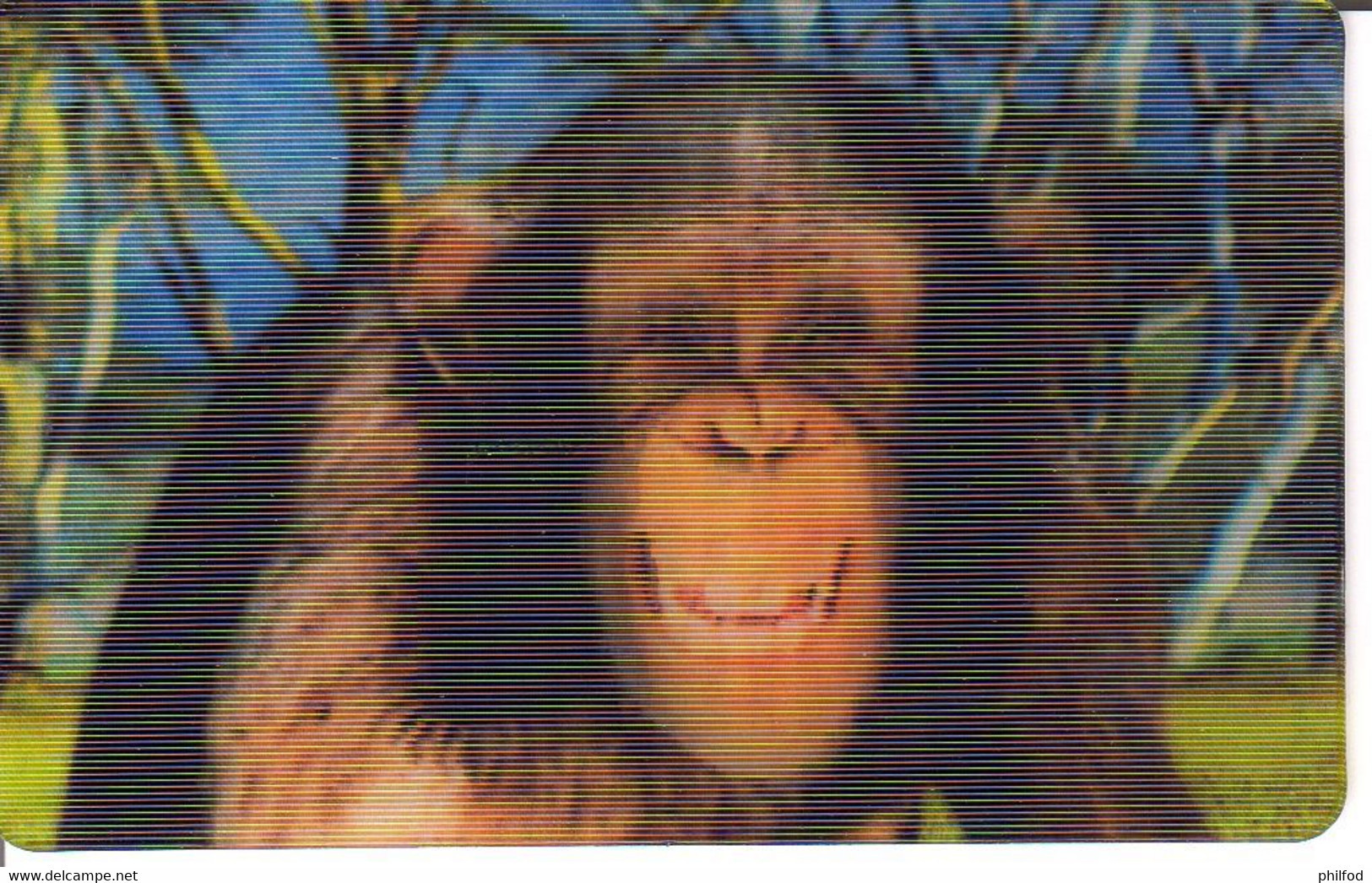 Carte Collector Animée Animaux (Cora / Match) : 2/44  : Chimpanzé - Andere & Zonder Classificatie