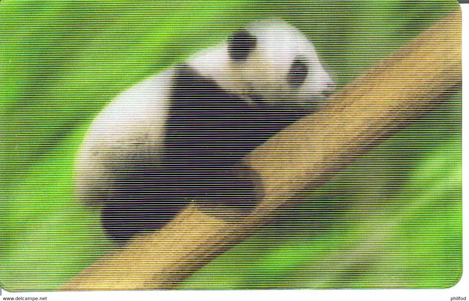 Carte Collector Animée Animaux (Cora / Match) : 6/44  : Panda - Altri & Non Classificati