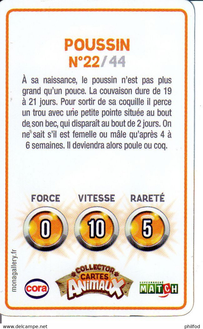 Carte Collector Animée Animaux (Cora / Match) : 22/44  : Poussin - Autres & Non Classés