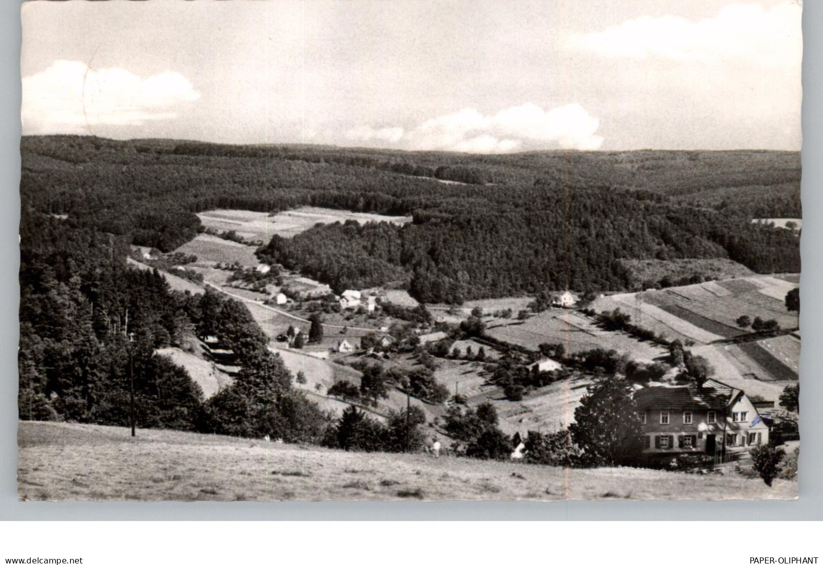 6124 BEERFELDEN - FALKEN - GESÄSS, Gasthaus Zum Schlawitzer, 1963 - Erbach