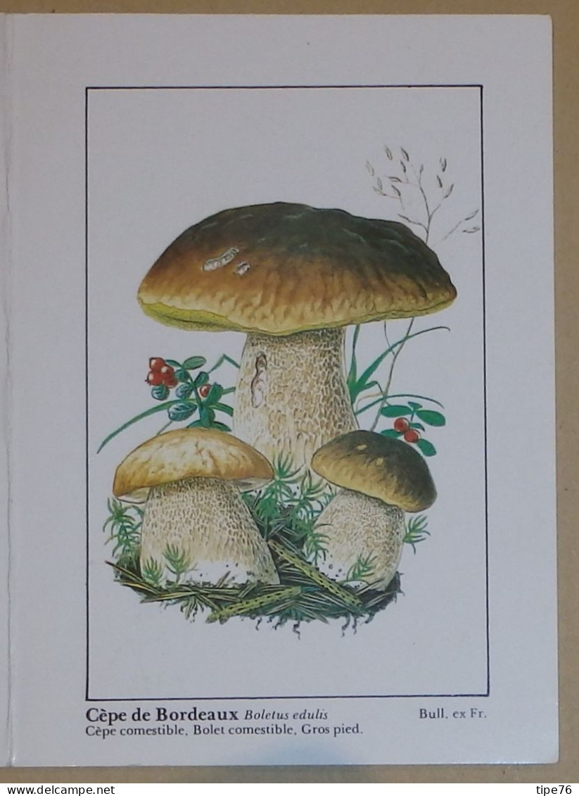 Petit Calendrier De Poche 1990 Champignon Cèpe De Bordeaux Pharmacie Chemillé Maine Et Loire - Small : 1981-90