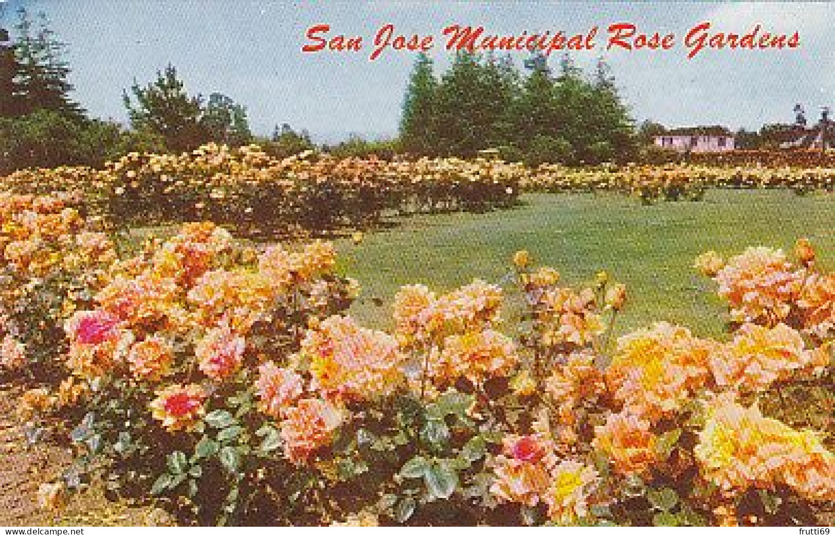AK 176245 USA - California - San Jose Municipal Rose Gardens - San Jose