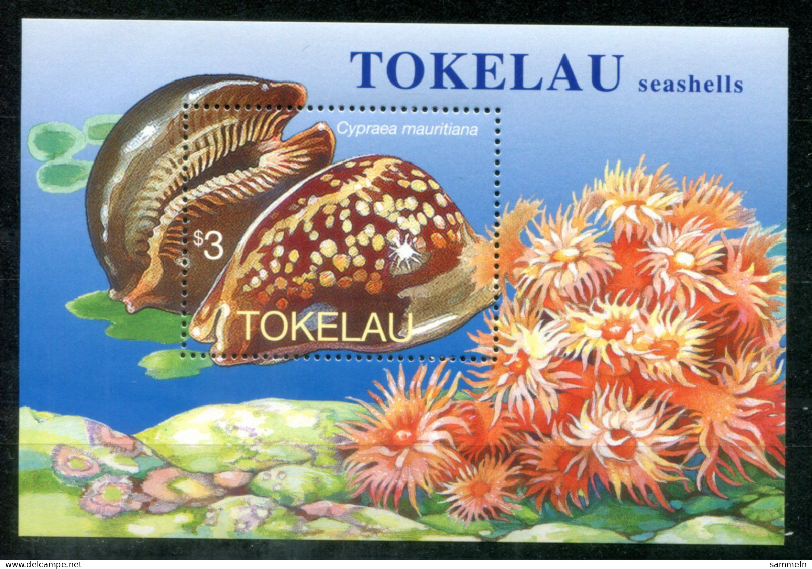 TOKELAU Block 9, Bl.9 Mnh - Porzellanschnecke, Kaurischnecke, Cowrie Shell, Coquille De Cauri - TOKÉLAOU - Tokelau