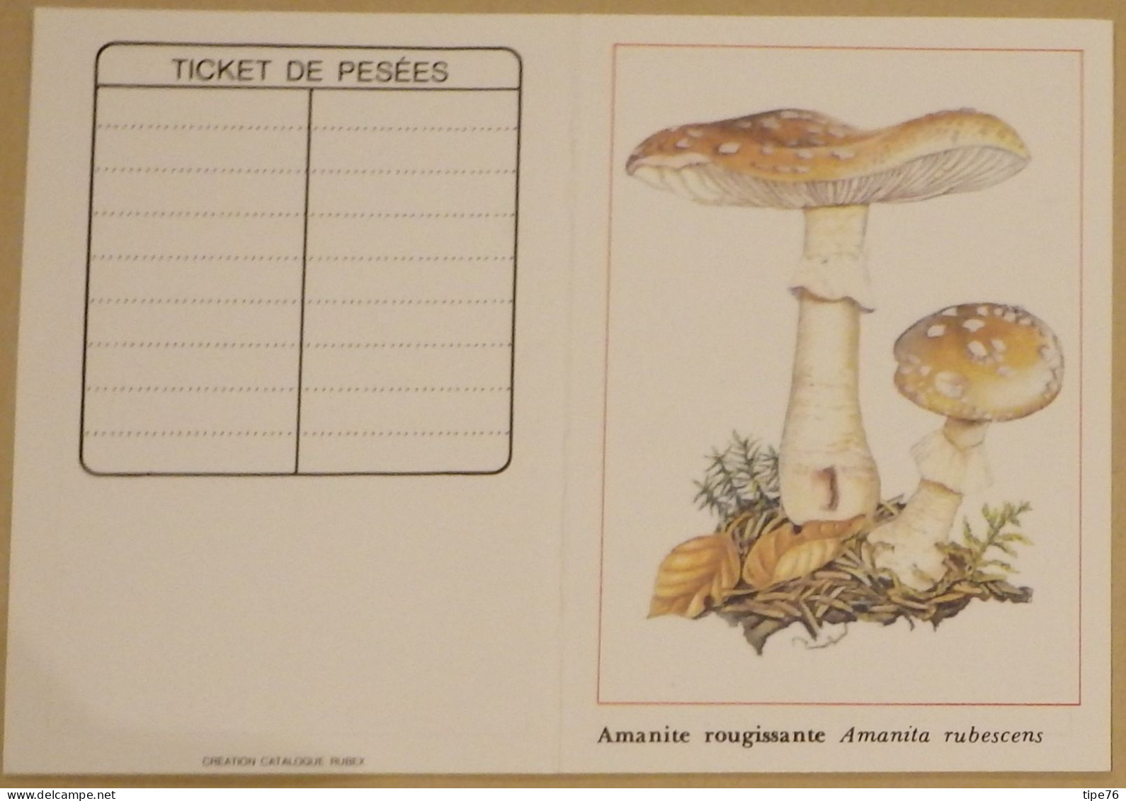 Petit Calendrier De Poche 1989 Champignon Amanite Rougissante - Small : 1981-90