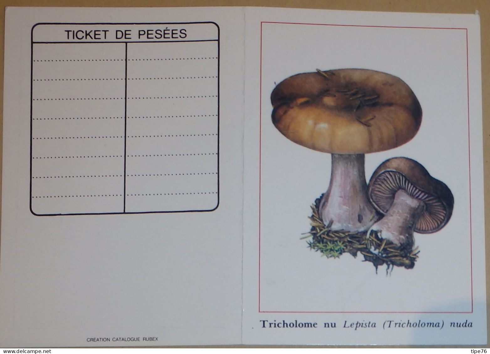 Petit Calendrier De Poche 1989 Champignon Tricholome Nu - Small : 1981-90