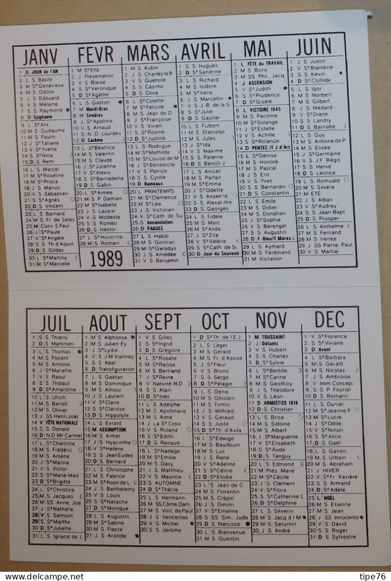 Petit Calendrier De Poche 1989 Champignon Tricholome Nu - Small : 1981-90