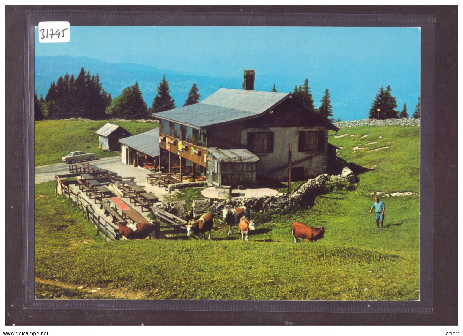 FORMAT 10x15cm - DISTRICT DE LA VALLEE - RESTAURANT DE LA DENT DE VAULION - TB - Vaulion