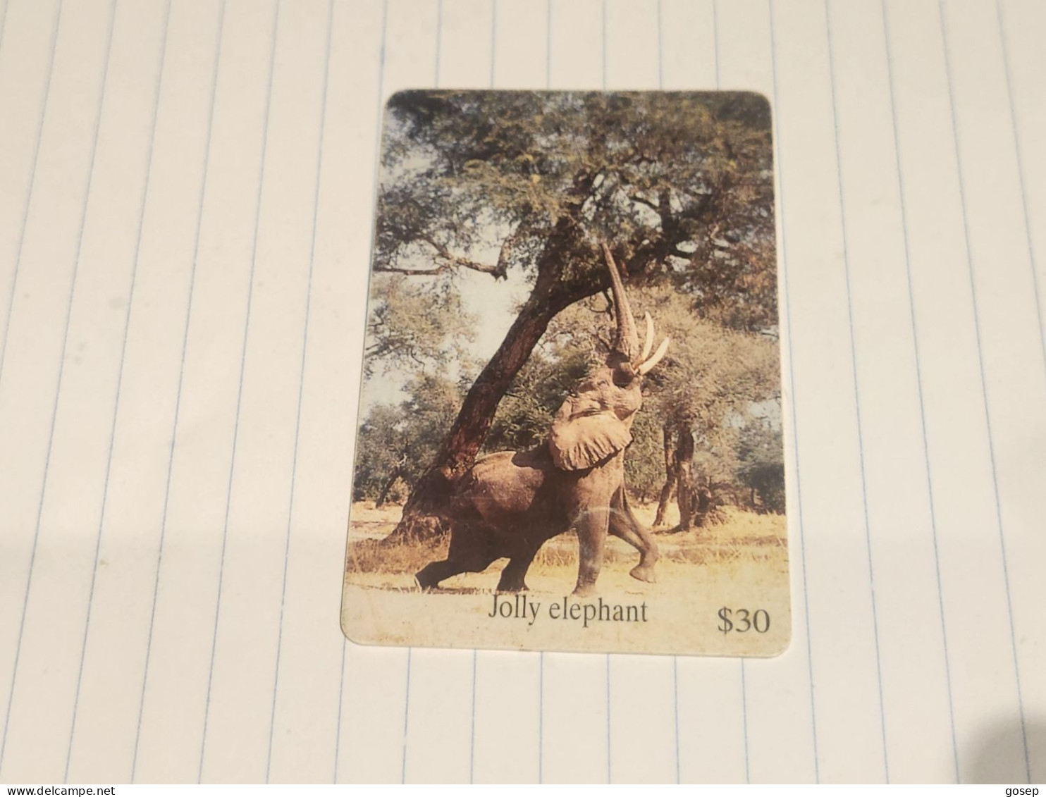 Zimbabwe-(ZIM-24)-Jolly Elephant-(49)-($30)-(1000-119209)-(1/12/2000)-used Card+1card Free - Simbabwe