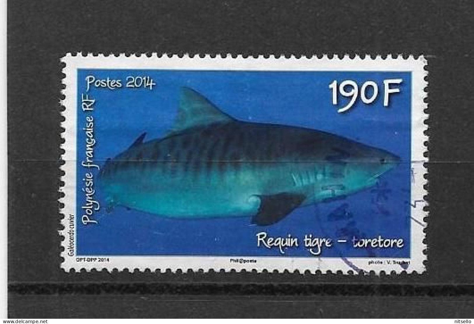 LOTE 2202 A  ///  (C025)  POLYNESIE FRANÇAISE  1068 De 2014 Oblitéré "le Requin Tigre" - Used Stamps