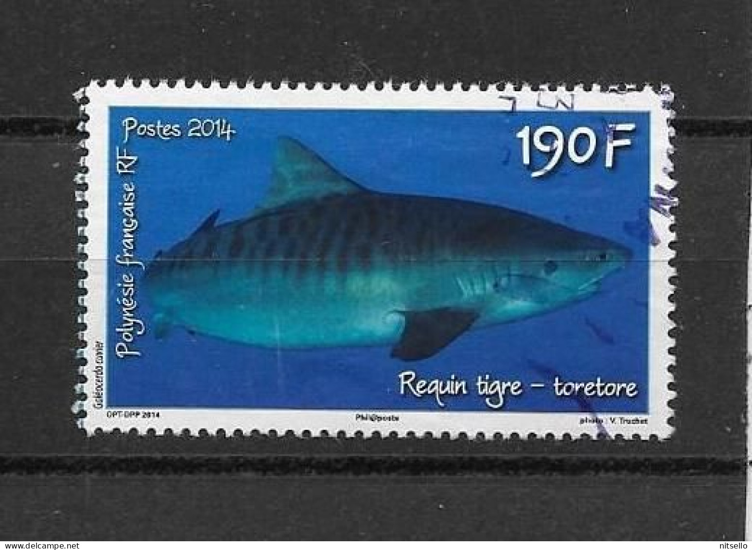 LOTE 2202 B  ///  (C025)  POLYNESIE FRANÇAISE  1068 De 2014 Oblitéré "le Requin Tigre" - Usados