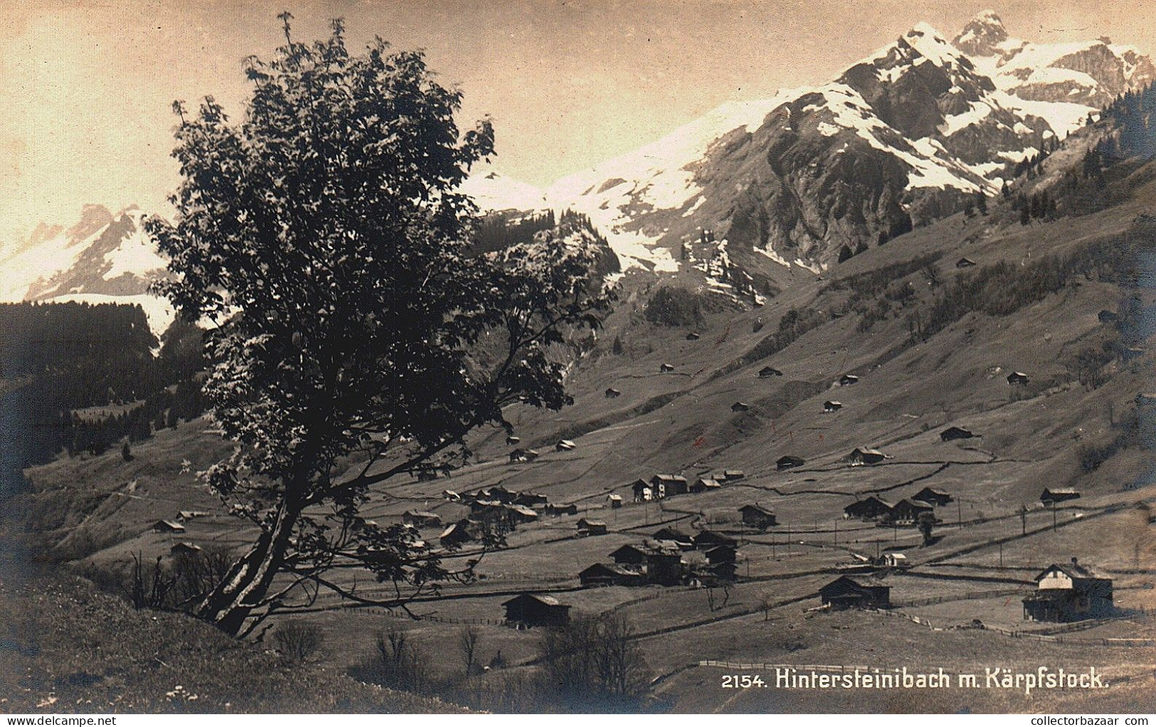 Hintersteinibach Mit Kärpfstock Frei & Co Photo Real Ppc Postcard Switzerland - Stein