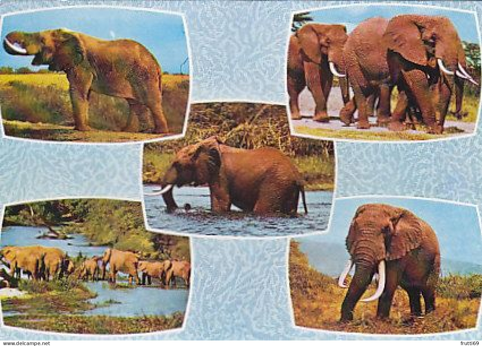 AK 176373 KENYA - Elephants - Kenya