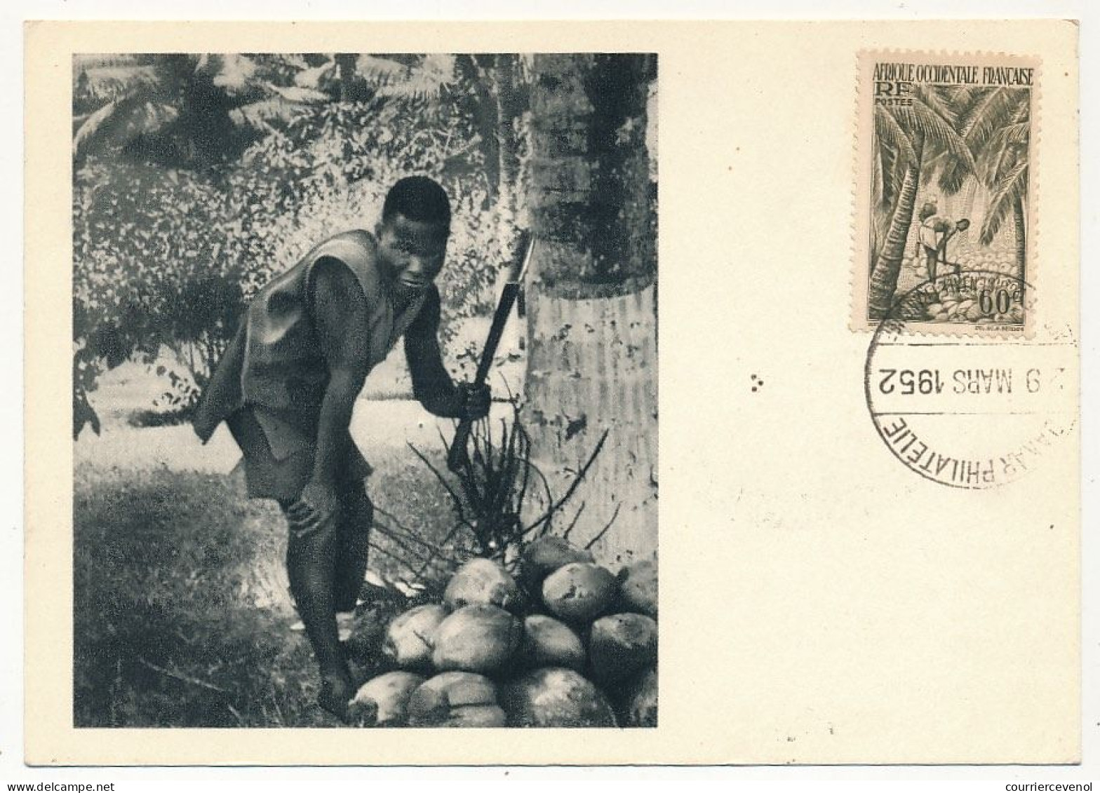 AOF => Carte Maximum Publicitaire IONYL - Côte D'Ivoire - Ramassage Décorticage Des Noix De Cocos - DAKAR 1952 - Briefe U. Dokumente