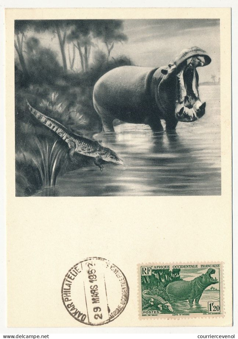 AOF => Carte Maximum Publicitaire IONYL - Côte D'Ivoire - Hippopotame Et Crocodile - DAKAR 1952 - Cartas & Documentos