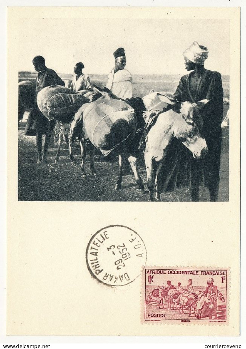 AOF => Carte Maximum Publicitaire IONYL - Sénégal - Transport D'arachides à Dos D'ânes - DAKAR 1952 - Lettres & Documents