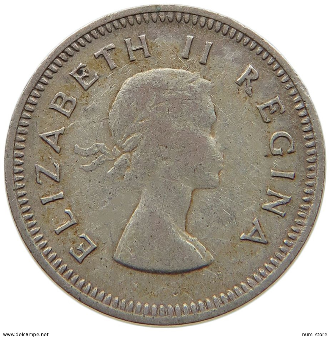 SOUTH AFRICA 3 PENCE 1959 Elizabeth II. (1952-2022) #c024 0559 - Afrique Du Sud