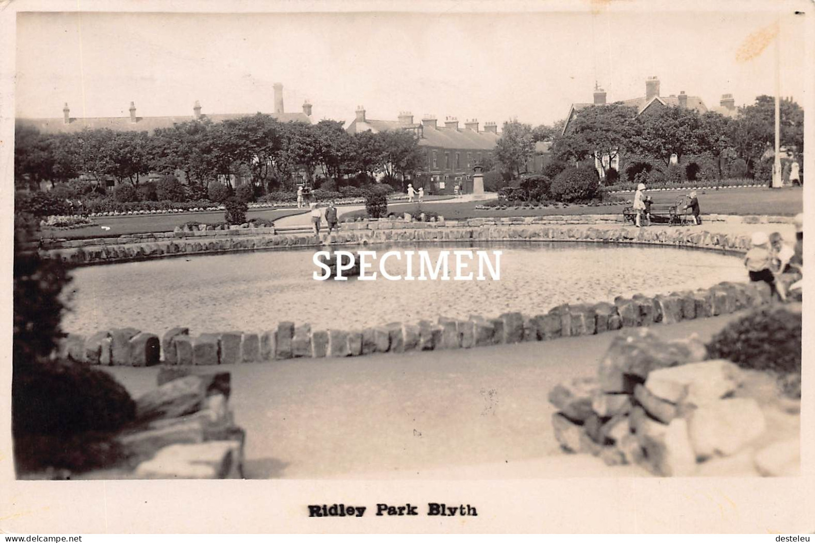 Ridley Park - Blyth - Other & Unclassified