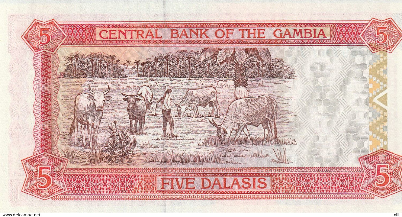 Gambia, 5 Dalasis, ND/1996, P-16 UNC - Gambia