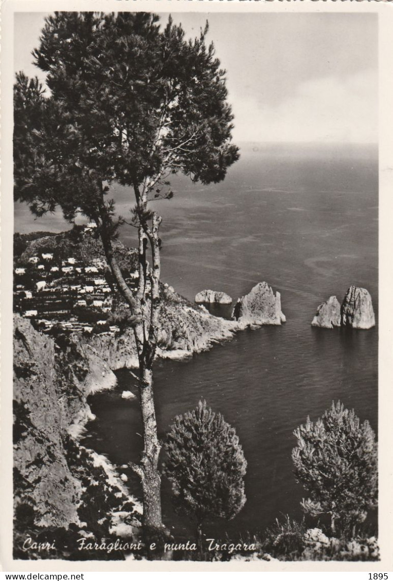 CAPRI - Carpi