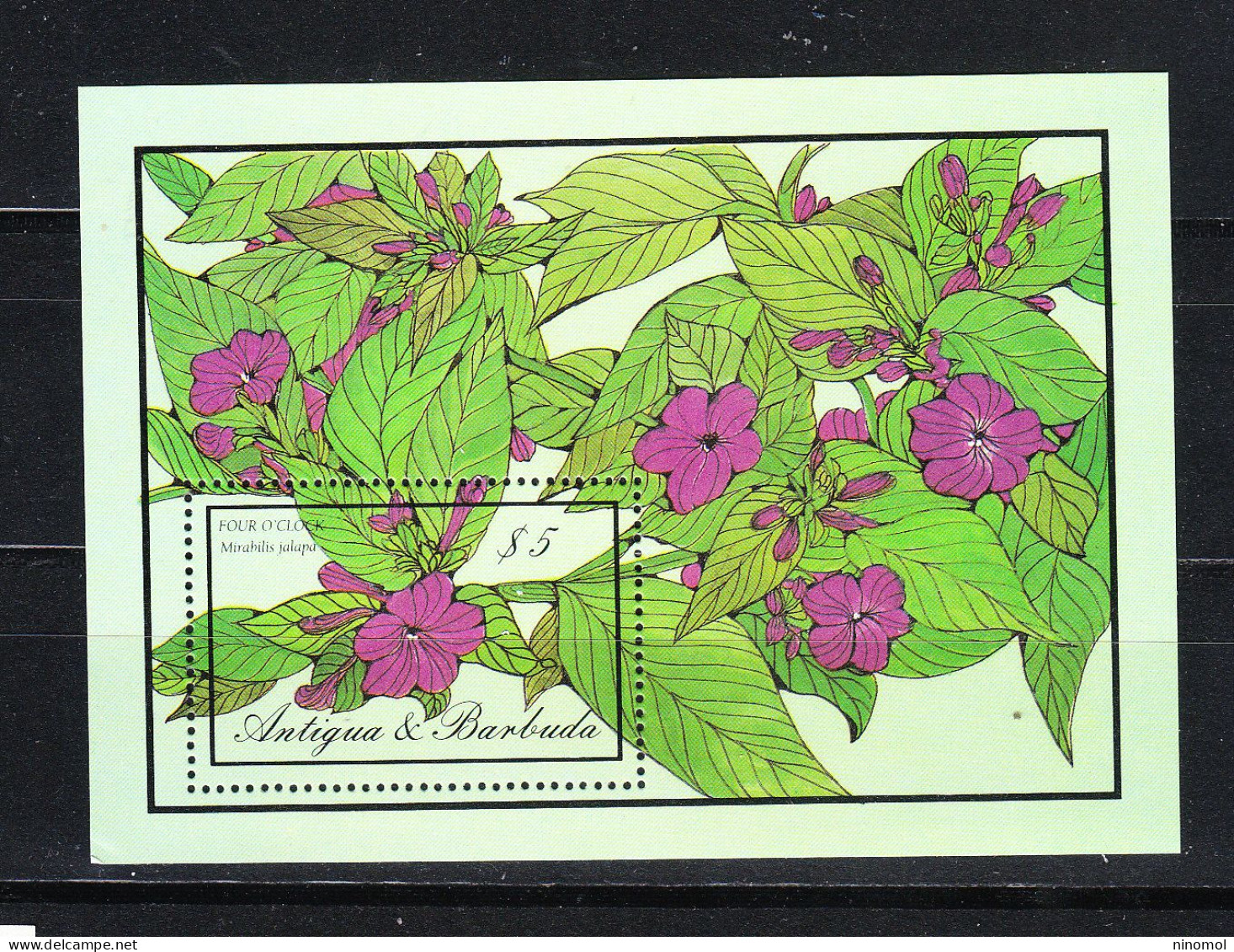 Antigua   -  1986. Pianta "Bella Di Notte "  Mirabilis Jalapa. MNH - Heilpflanzen