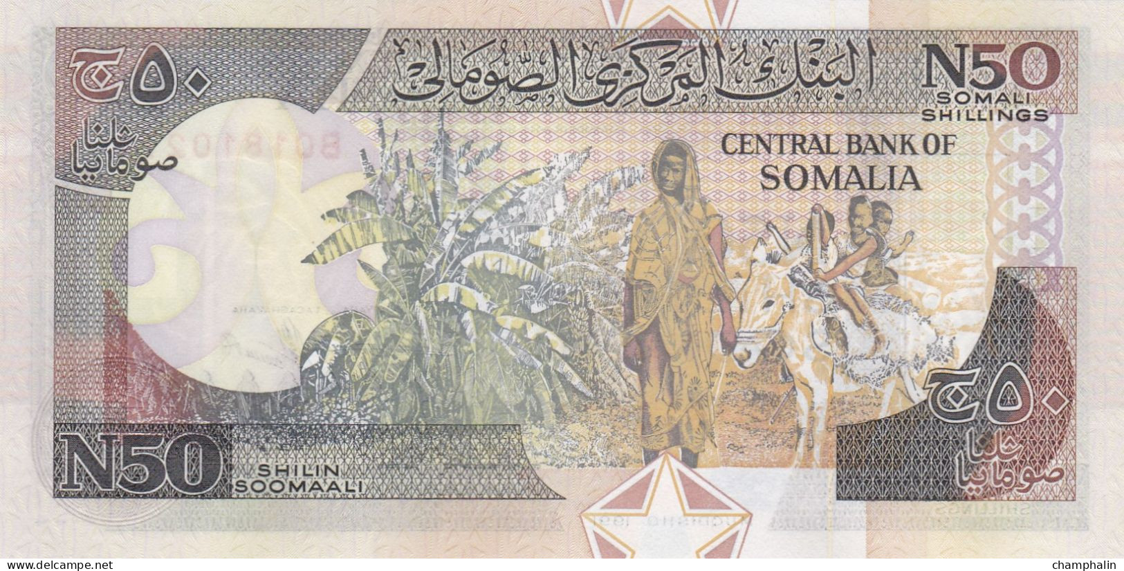 Somalie - Billet De 50 Shilin - 1991 - Neuf - Somalie