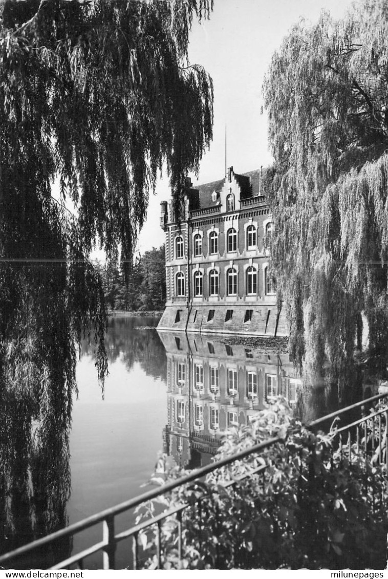 Belgique Le Miroir D'eau Du Chateau De Bourgogne à Estaimbourg CPSM Grand Format Dentelé - Estaimpuis