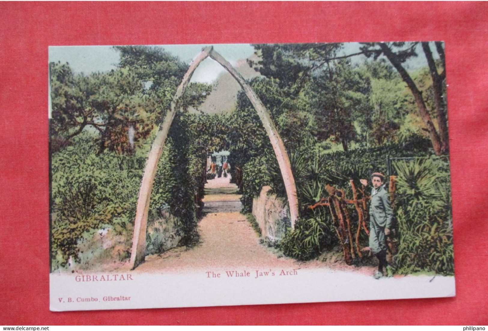 The Whale Jaw's Arch.   Gibraltar      Ref 6241 - Gibraltar