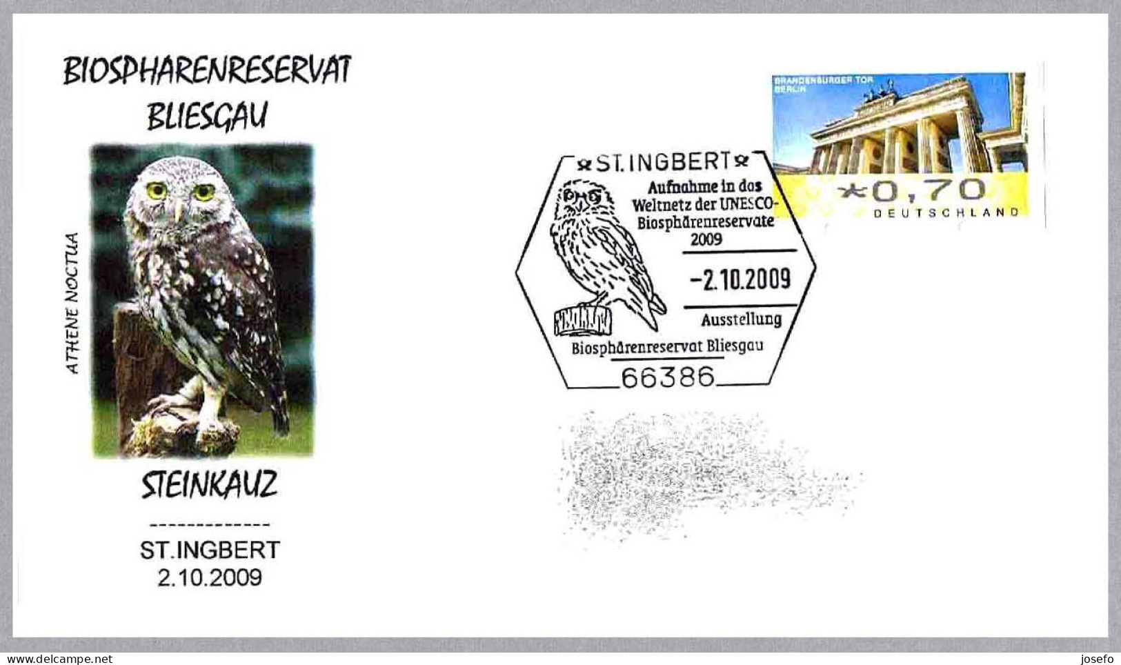 RESERVA DE LA BIOSFERA BLIESGAU. Athene Noctua - Mochuelo - Little Owl. St.Ingbert 2009 - Hiboux & Chouettes