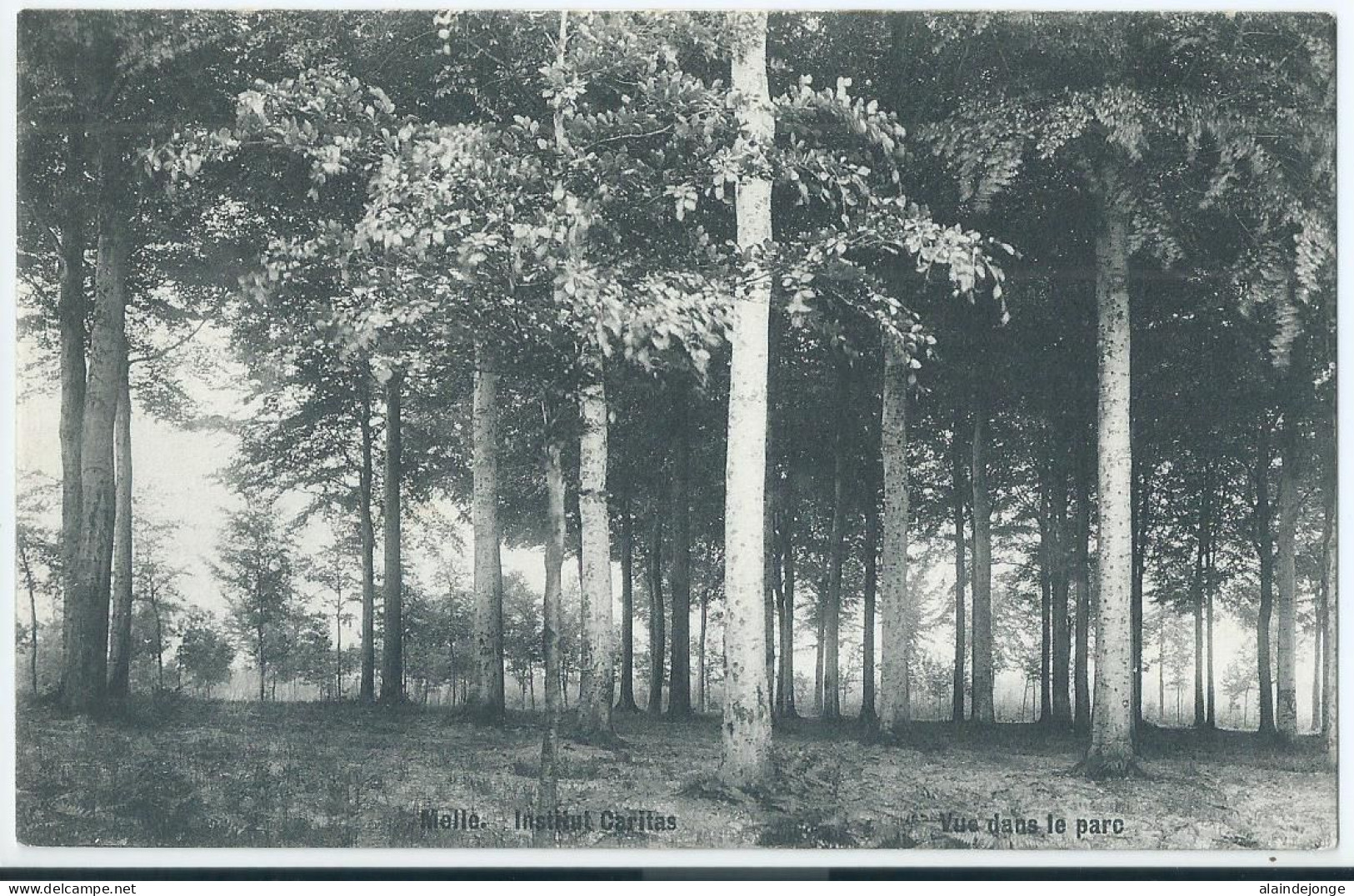 Melle - Institut Caritas - Vue Dans Le Parc  - Melle