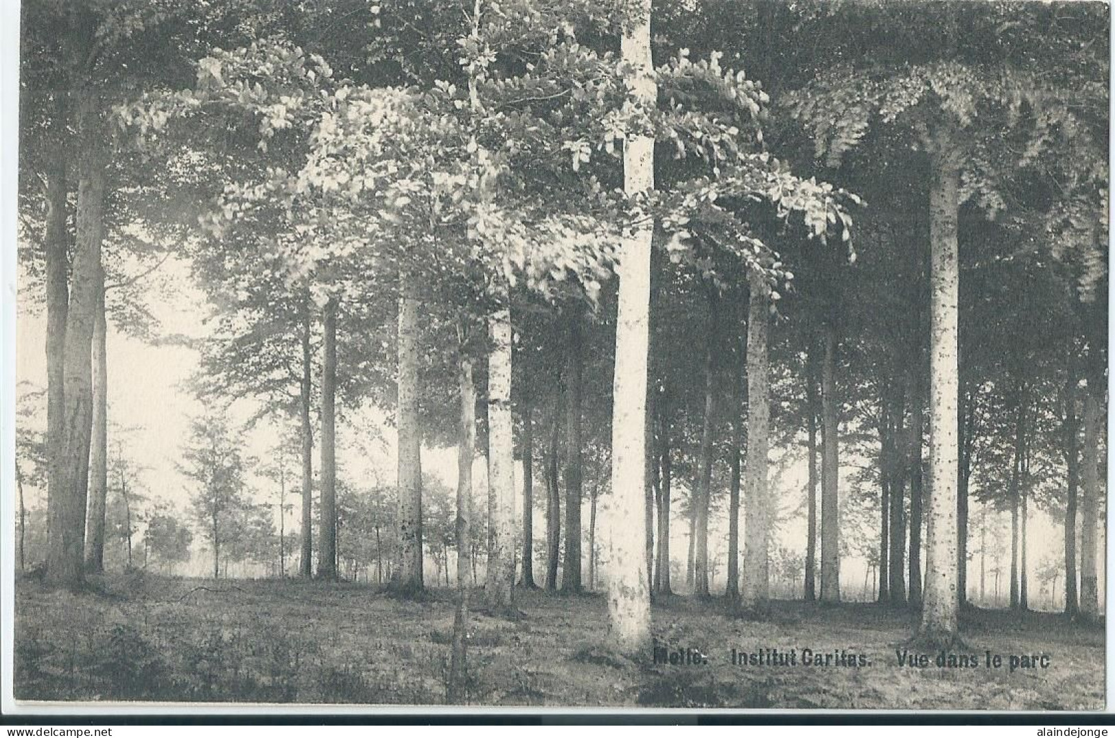 Melle - Institut Caritas - Vue Dans Le Parc  - Melle