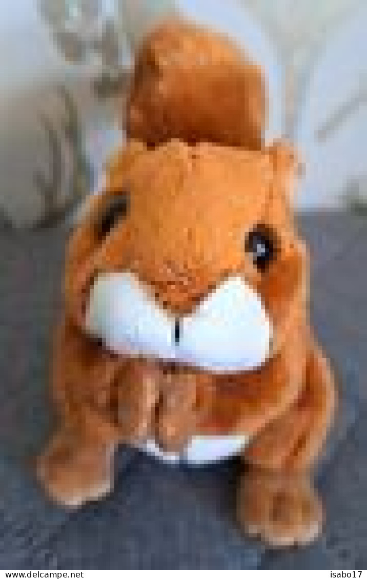 Wild Republic Pocketkins Eichhörnchen - Cuddly Toys