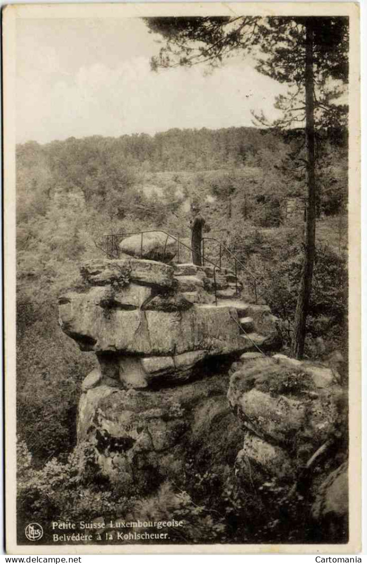 Petit Suisse Luxembourgeoise - Belvédère à La Kohlscheuer - Muellerthal