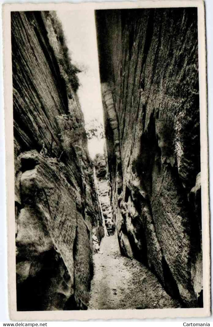 Le Petit Suisse Luxembourgeoise - Binzeltschlüff - Müllerthal