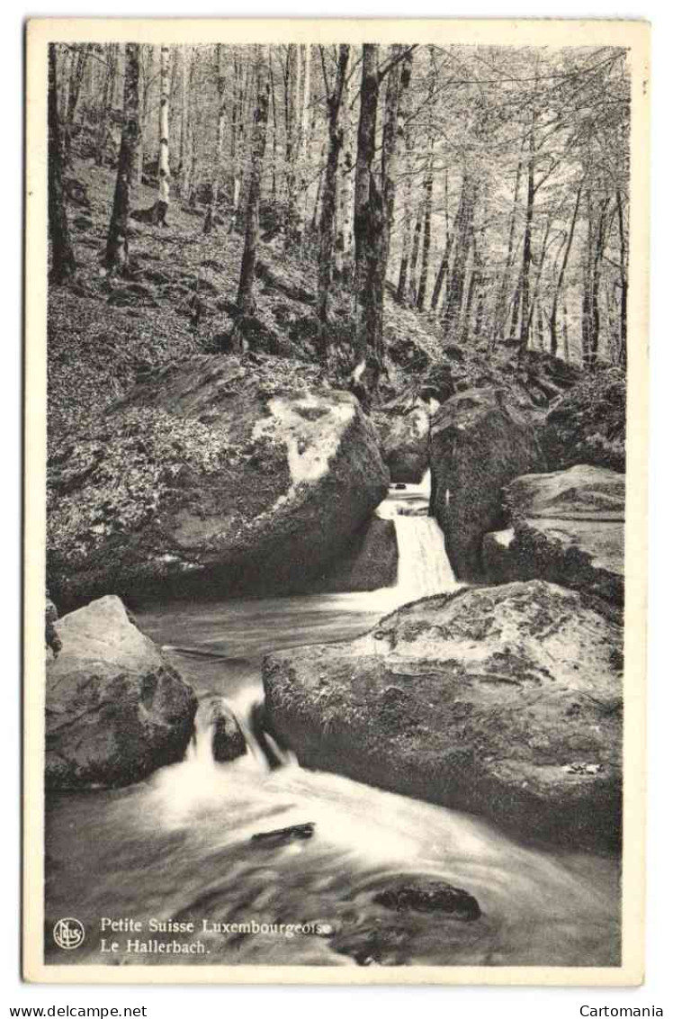 Petite Suisse Luxembourgeoise - Le Hallerbach - Muellerthal