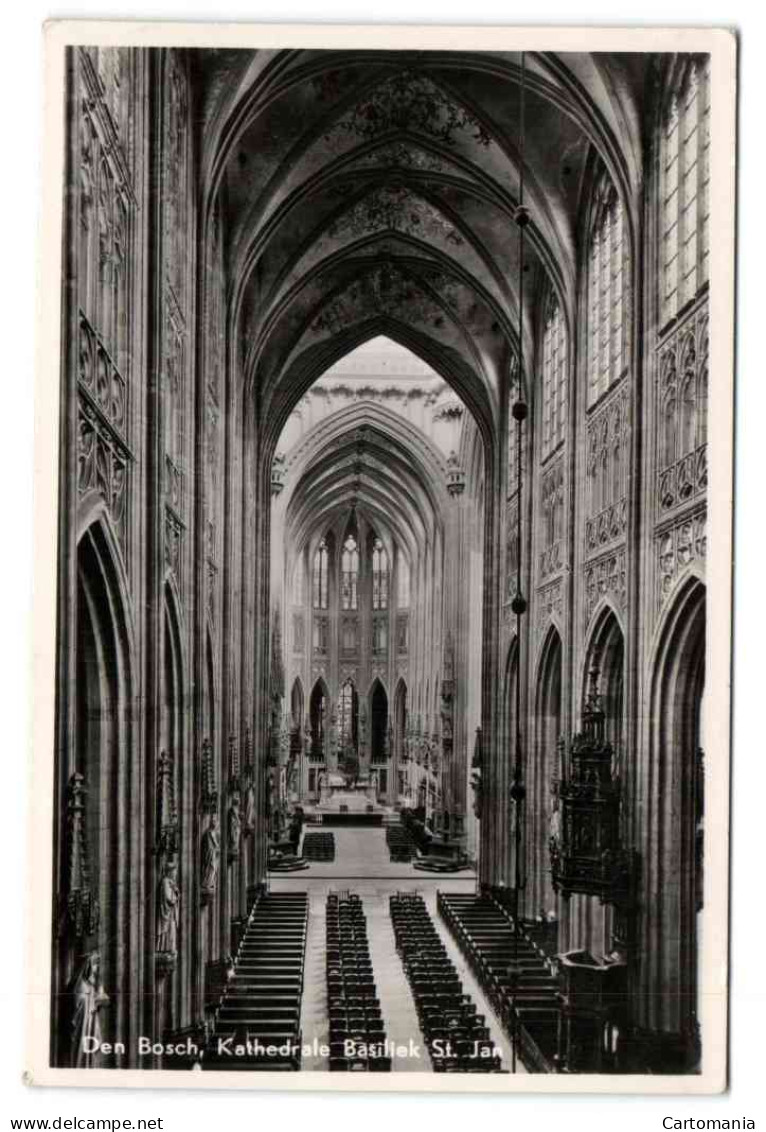 Den Bosch - Kathedrale Basiliek St Jan - 's-Hertogenbosch