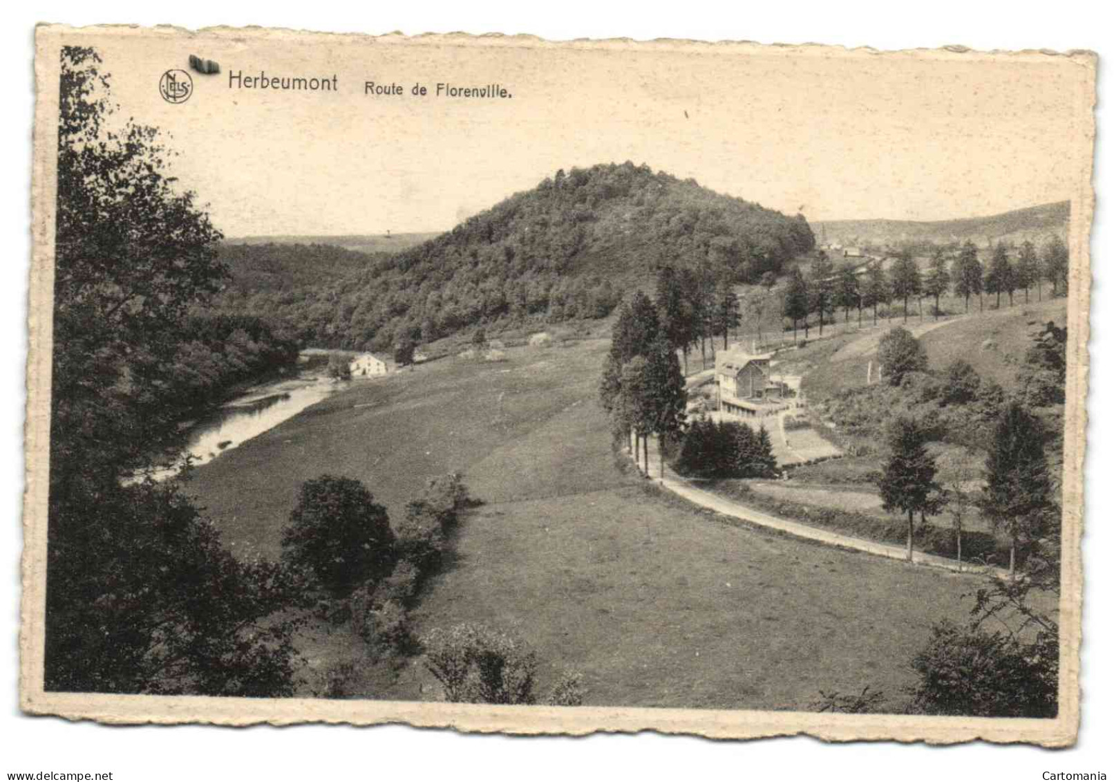 Herbeumont - Route De Florenville - Herbeumont