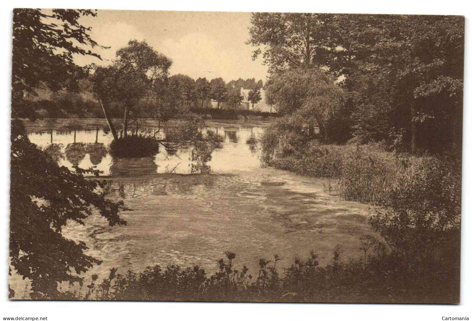 Gaesbeek - Le Grand étang Dit L'étang Tortu - Lennik