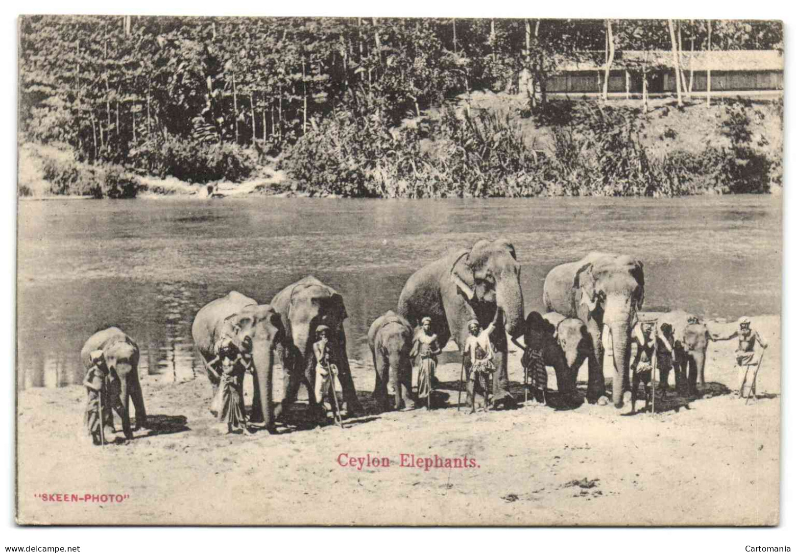 Ceylon - Elephants - Sri Lanka (Ceylon)