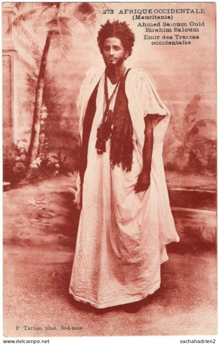 AFRIQUE OCCIDENTALE (Mauritanie). Ahmed Saloum Ould Birahim Saloum. Emir Des Trarzas Occidentales. 273 - Mauritania