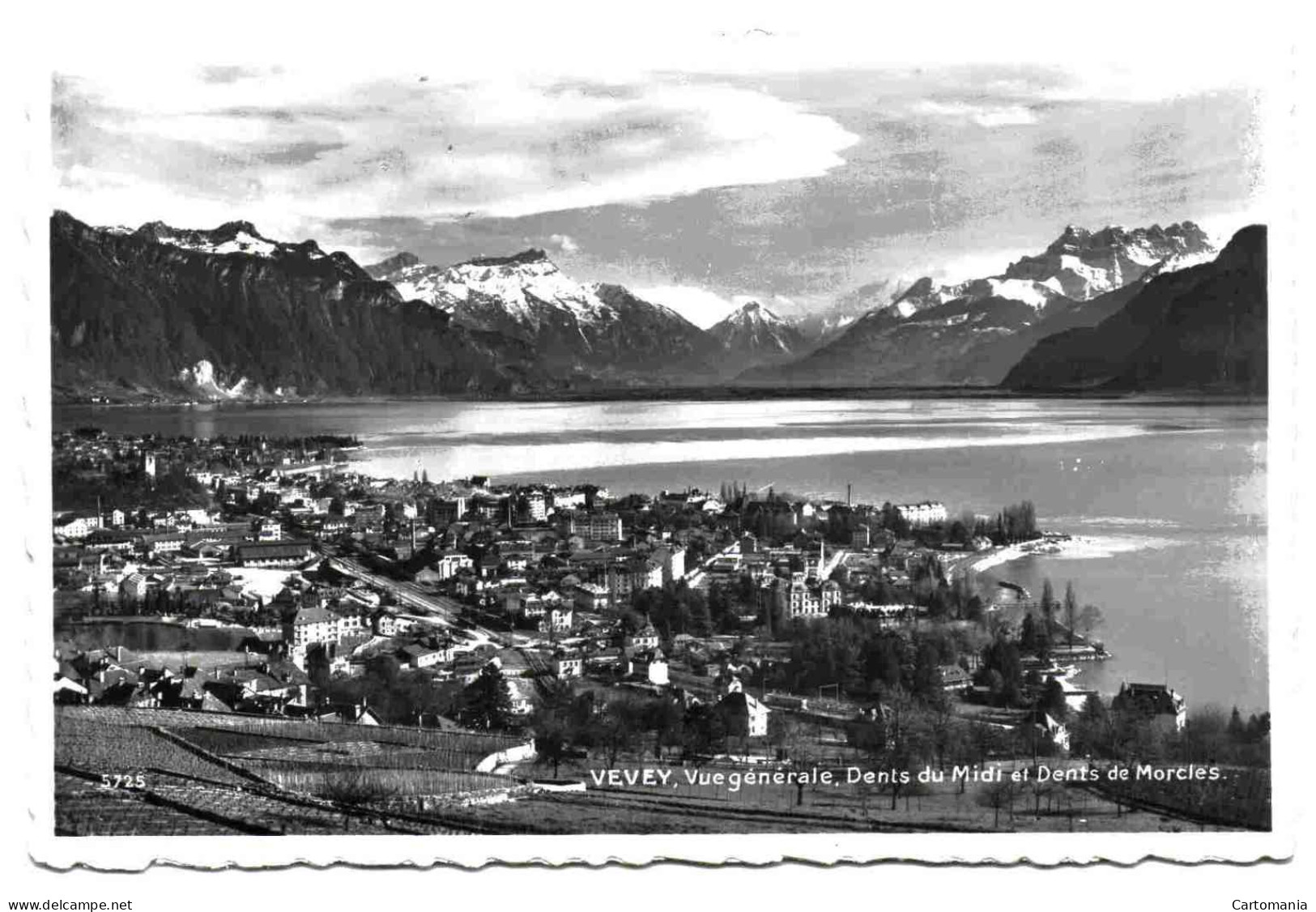 Vevey - Vue Générale - Dents Du Midi Et Dents De Morcles - Morcles