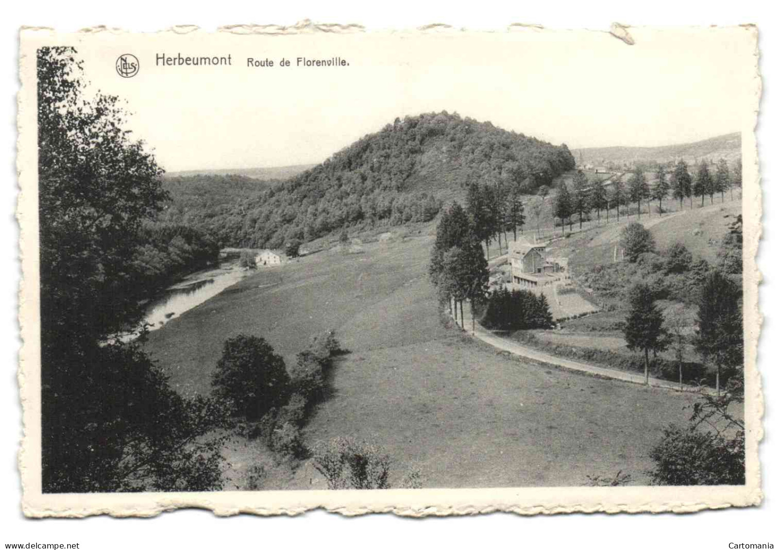 Herbeumont - Route De Florenville - Herbeumont