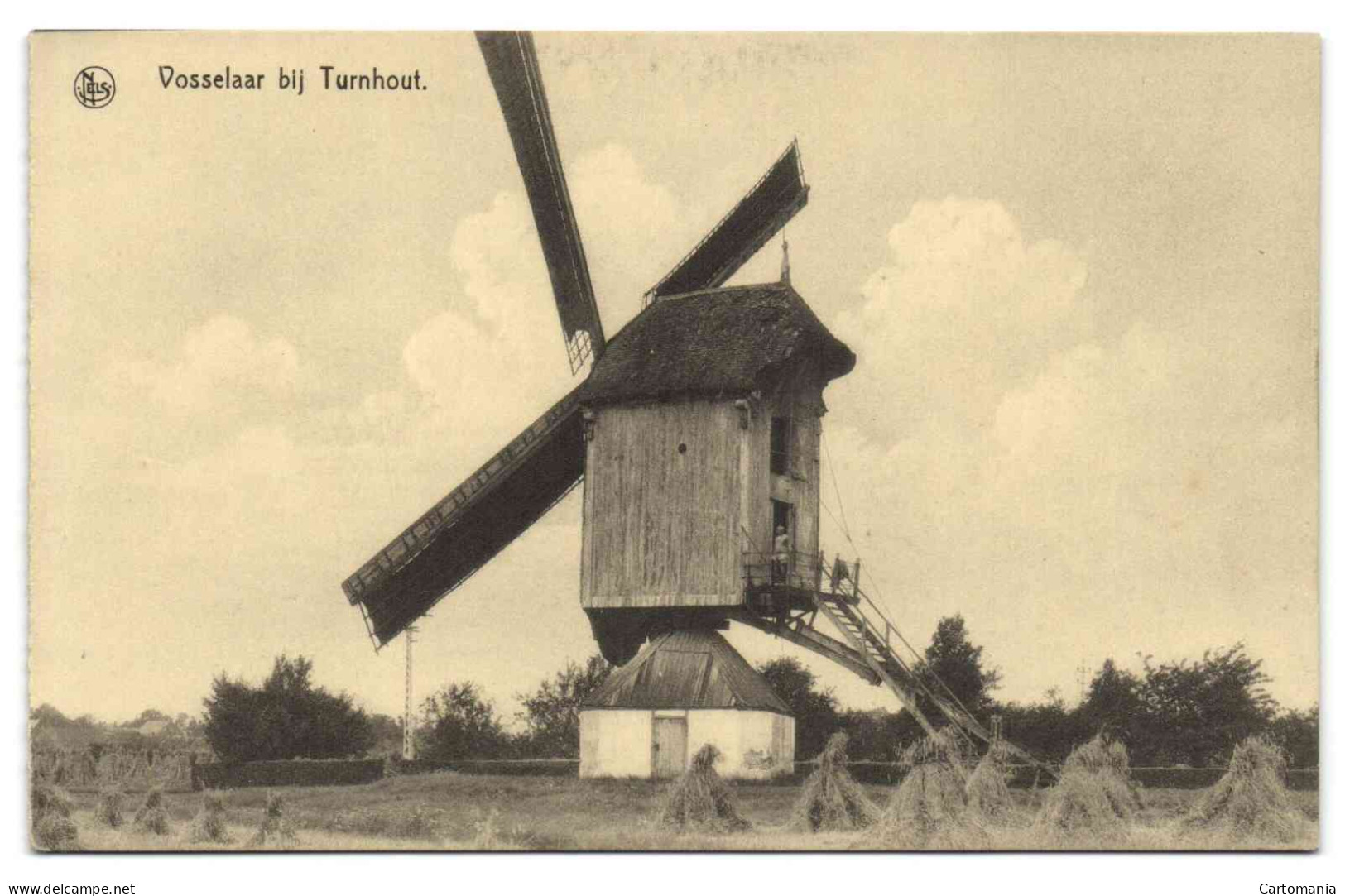 Vosselaar Bij Turnhout - Molen (Moulin) - Vosselaar