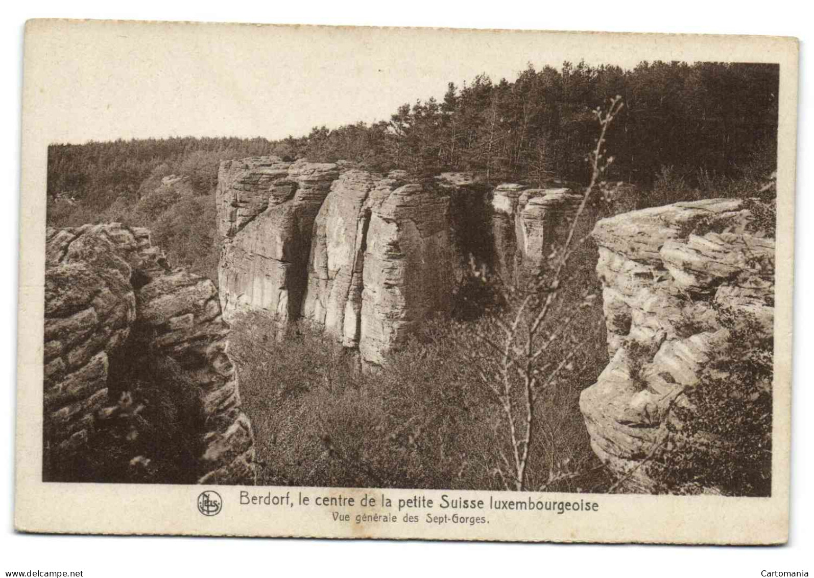 Berdorf - Vue Générale Des Sept-Gorges - Berdorf