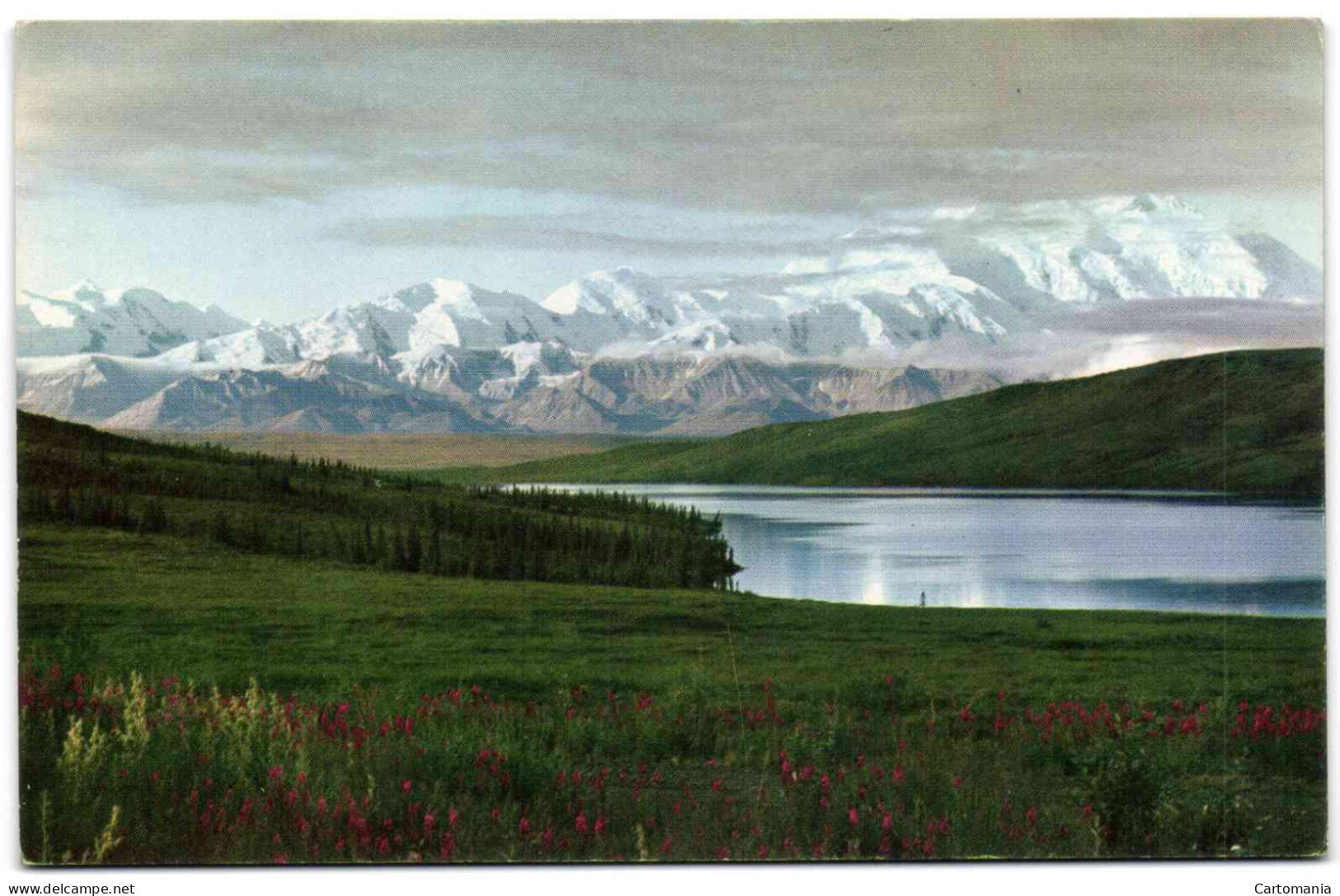 Alaska - Wonder Lake In Mt. McKinley National Park - Catskills